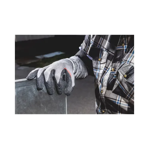 11.webp