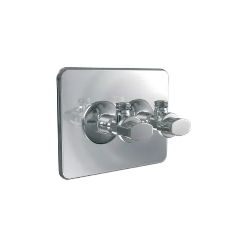 [009116] CACHE ROBIFIX 50 + ROBINETS - WATTS