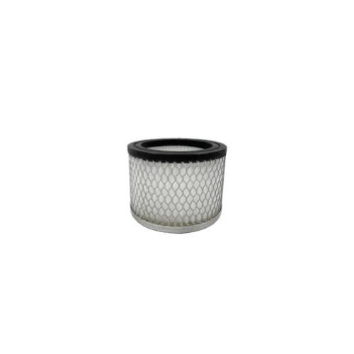 [042.AAC5.F] Filtre Hepa Granul’Mini - DIXNEUF