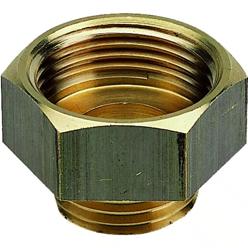 [3328] MAMELON MÂLE-FEMELLE, FEMELLE PLUS GRAND 8246 BRUT (D3/4)