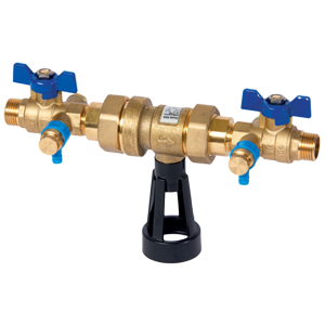 Disconnecteur EDP CA2096 1/2 - WATTS