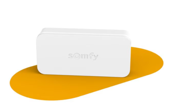 Détecteur de vibration et d'ouverture - SOMFY