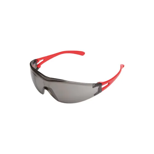 [0899102252] Lunettes de protection Cepheus UV 100% anti-rayures - EN 166, 172 - gris