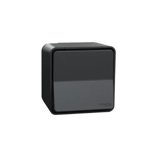 Mureva Styl - Bouton poussoir - saillie - IP55 - IK08 - gris - SCHNEIDER ELECTRIC
