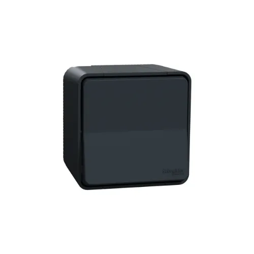 Mureva Styl - Va et vient - saillie - IP55 - IK08 - gris - SCHNEIDER ELECTRIC